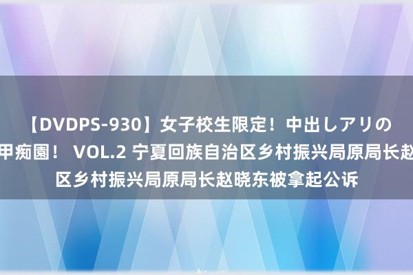 【DVDPS-930】女子校生限定!中出しアリの!腰フリダンス甲痴園! VOL.2 宁夏回族自治区乡村振兴局原局长赵晓东被拿起公诉