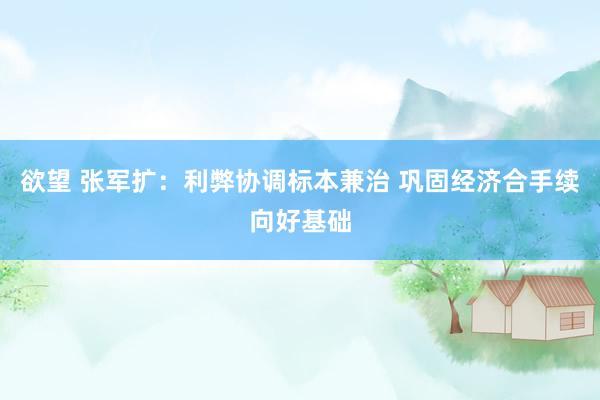 欲望 张军扩:利弊协调标本兼治 巩固经济合手续向好基础