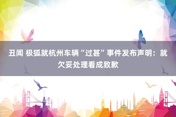 丑闻 极狐就杭州车辆“过甚”事件发布声明:就欠妥处理看成致歉