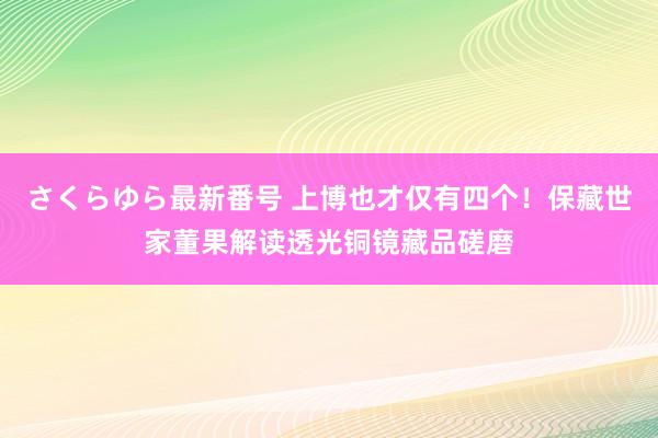 さくらゆら最新番号 上博也才仅有四个!保藏世家董果解读透光铜镜藏品磋磨
