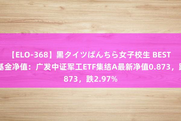 【ELO-368】黒タイツぱんちら女子校生 BEST 8月5日基金净值:广发中证军工ETF集结A最新净值0.873,跌2.97%