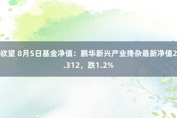 欲望 8月5日基金净值:鹏华新兴产业搀杂最新净值2.312,跌1.2%