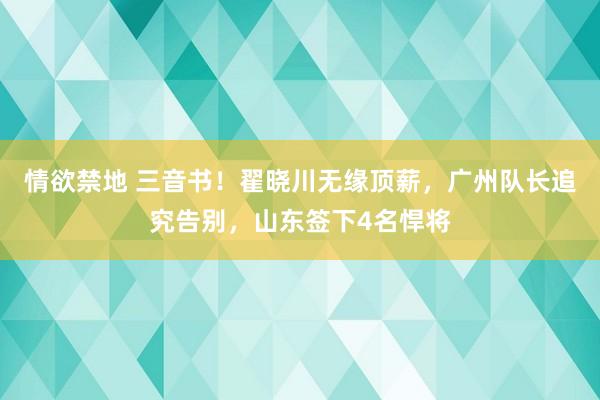 情欲禁地 三音书!翟晓川无缘顶薪,广州队长追究告别,山东签下4名悍将