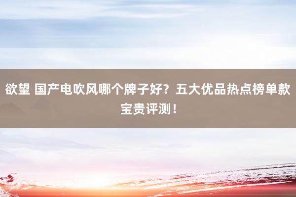 欲望 国产电吹风哪个牌子好?五大优品热点榜单款宝贵评测!
