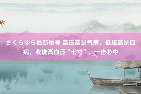 さくらゆら最新番号 高压高是气病,低压高是血病,收拢高血压“七寸”,一击必中
