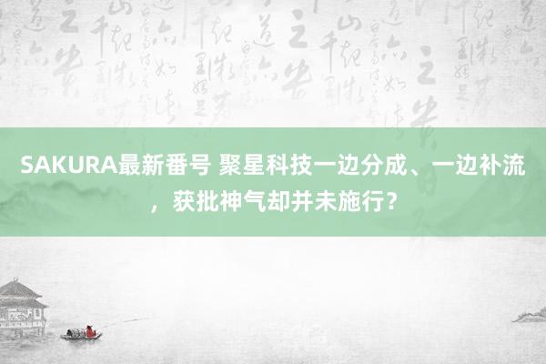 SAKURA最新番号 聚星科技一边分成、一边补流,获批神气却并未施行?