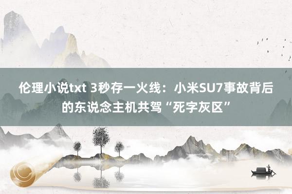 伦理小说txt 3秒存一火线:小米SU7事故背后的东说念主机共驾“死字灰区”