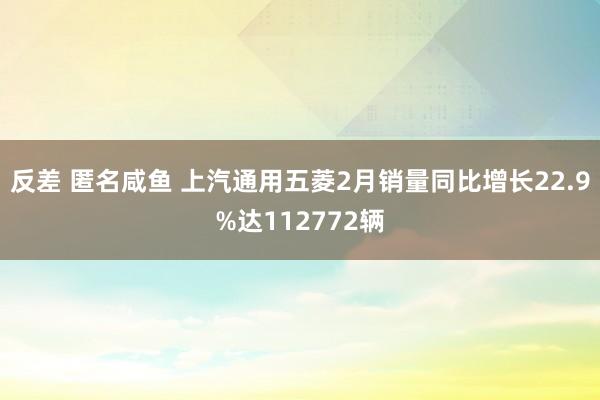 反差 匿名咸鱼 上汽通用五菱2月销量同比增长22.9%达112772辆