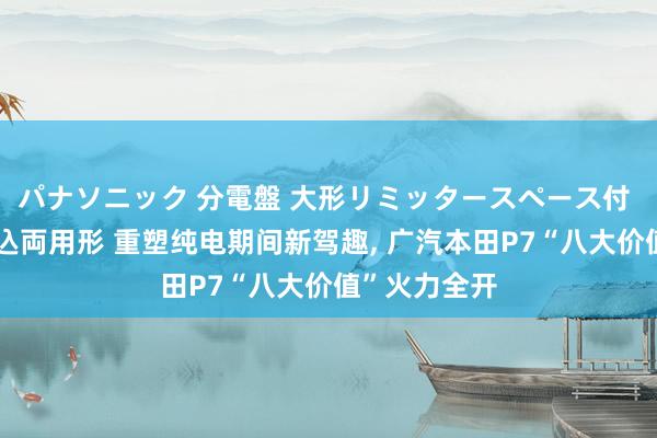 パナソニック 分電盤 大形リミッタースペース付 露出・半埋込両用形 重塑纯电期间新驾趣, 广汽本田P7“八大价值”火力全开
