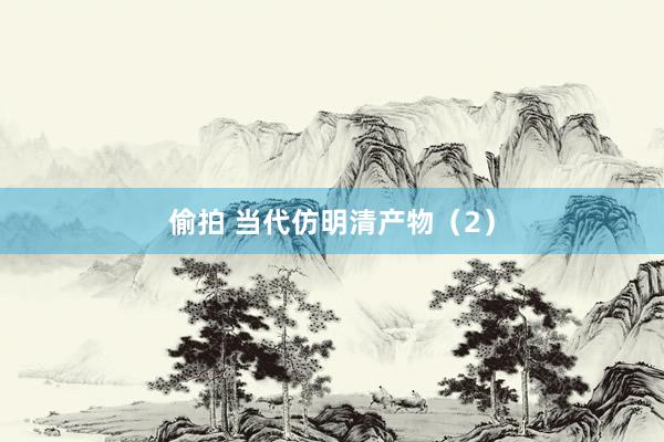 偷拍 当代仿明清产物（2）