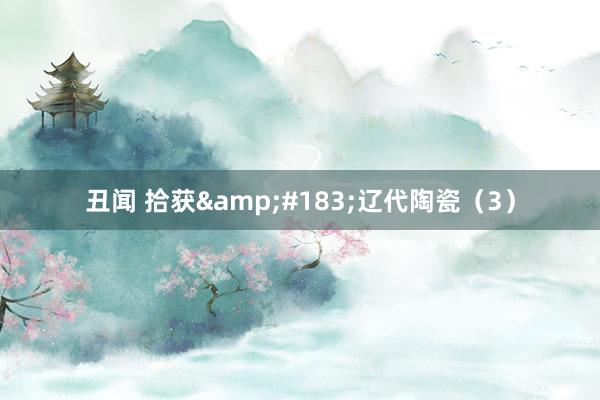 丑闻 拾获&#183;辽代陶瓷（3）