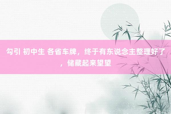勾引 初中生 各省车牌，终于有东说念主整理好了，储藏起来望望