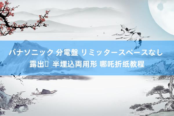 パナソニック 分電盤 リミッタースペースなし 露出・半埋込両用形 哪吒折纸教程