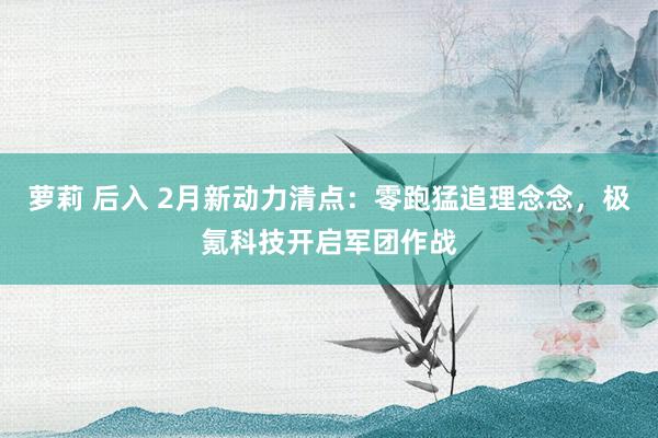 萝莉 后入 2月新动力清点:零跑猛追理念念,极氪科技开启军团作战