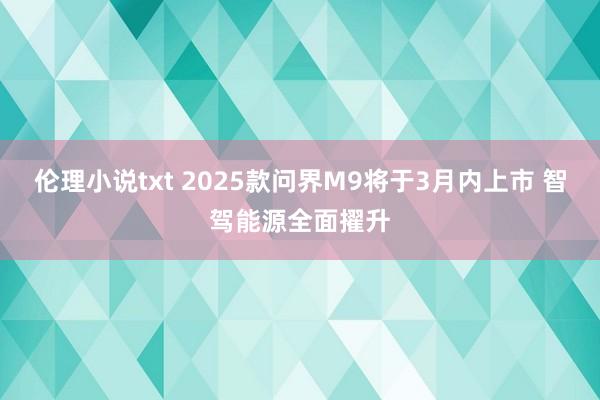 伦理小说txt 2025款问界M9将于3月内上市 智驾能源全面擢升